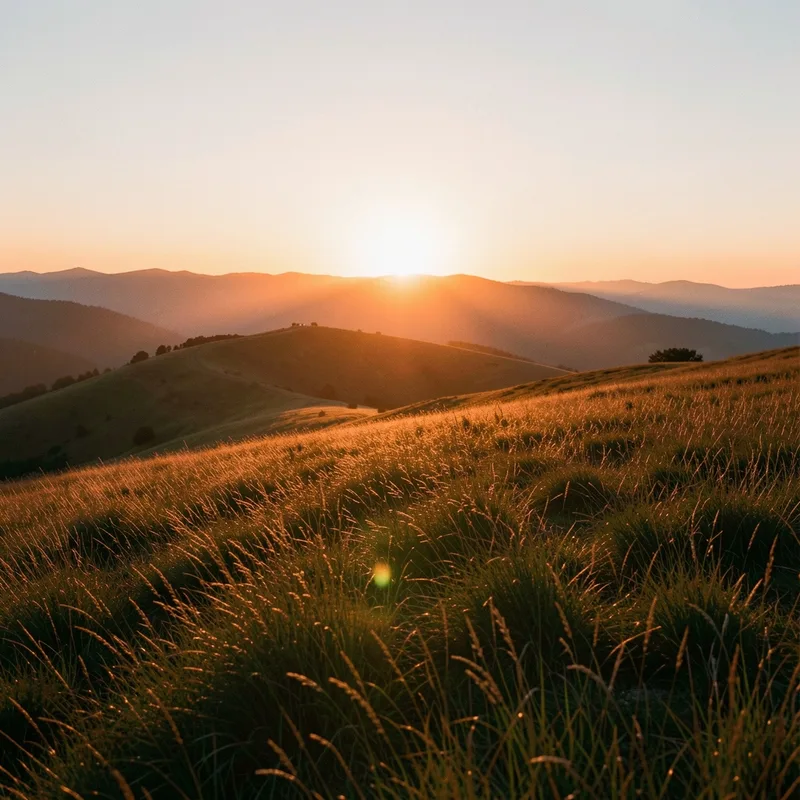 Golden hour en photographie : horaires, physique, réglages