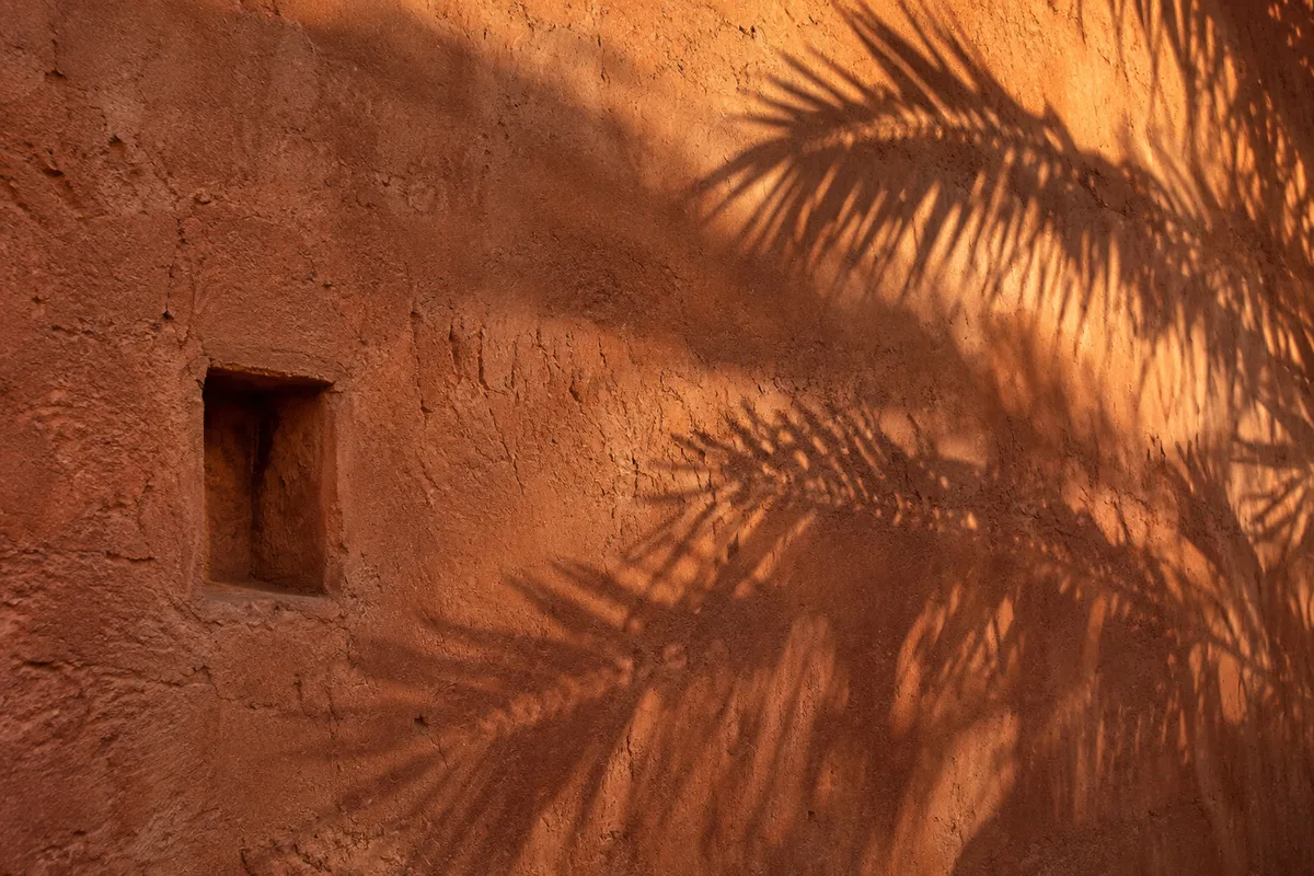 Mur de terre ocre rouge sur lequel se découpe l&rsquo;ombre portée très nette des palmes d&rsquo;un palmier en fin d&rsquo;après-midi
